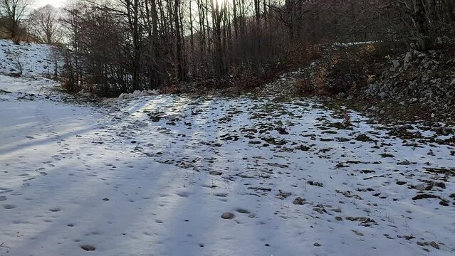Campitello Matese - Panoramica del tratto intermedio della pista Del Caprio