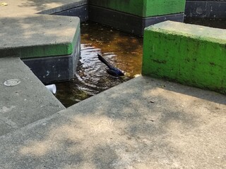 fuente en el parque.fountain in the park
