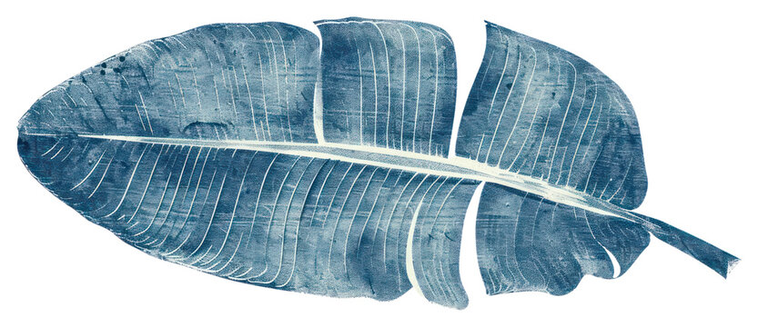 PNG  Antique of banana leaf drawing sketch plant.