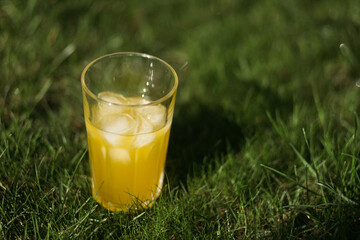 freshly squeezed orange juice with ice in a glass on nature
