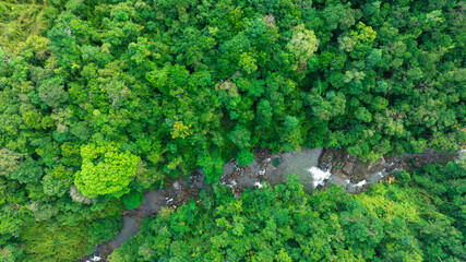Aerial view of mixed forest, deciduous trees, greenery and waterfalls flowing through the forest. The rich natural ecosystem of rainforest concept is all about conservation and natural reforestation