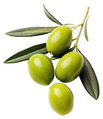 PNG Olive fruit plant food