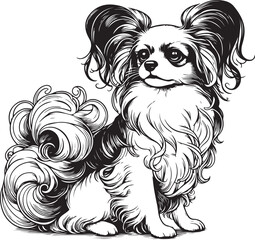 papillon dog pet portrait cartoon outline, vector line art vector illustration isolated on transparent background