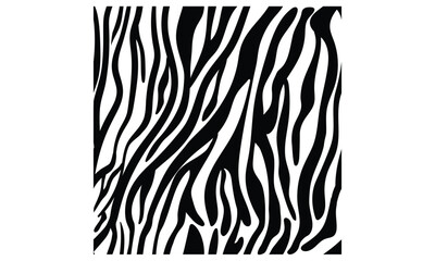 Vector illustration of seamless zebra stripes pattern For Tee shirt, Hoodie artwork