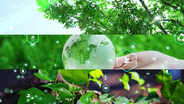 Collage of various natural scenes and environmental technology concept. Green tech. Sustainability. Sustainable transformation. Wipe transition from white background.