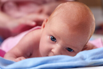 Innocent Gaze of a Newborn, Confident Eyes Exploring the World at Two Months