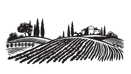 Vineyard landscape, Sketch, hand drawn illustrations