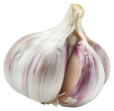 PNG Photo of a garlic clove vegetable produce plant