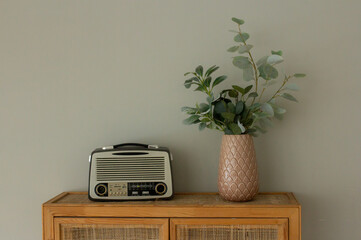 Cozy retro home interior with old radio, vase with eucalyptus on wooden cabinet