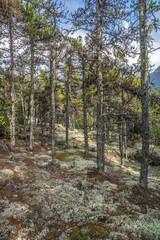 Skagway Alaska