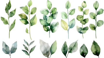 Watercolor floral illustration set green gold leaves, generative Ai