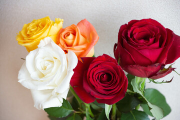 色とりどりのバラ