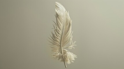 Single Delicate Feather on Neutral Background
