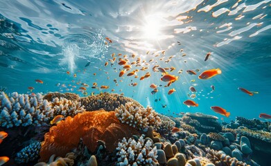 Coral reef teeming with marine life, under the clear waters, emphasizing the need for marine conservation.