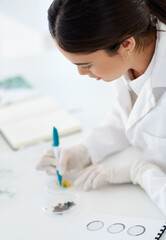 Research, writing and woman or scientist with pen to label petri dish for identification or...
