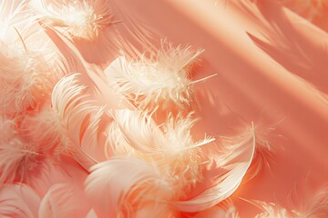 White feathers on peach background with sun shadows Trendy peach fuzz color concept for 2024 with lifestyle theme and copy space