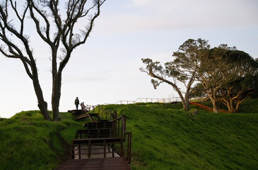 Man walking up steps on the boardwalk around the crater at Mt Eden summit. Auckland. - 787948580