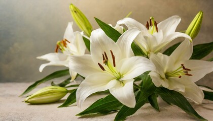 Fototapeta na wymiar Ethereal Elegance: Close-up of White Lilies Symbolizing Gentleness, Purity, and Virtue on a Light Background