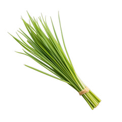 lemon grass SVG on a transparent background