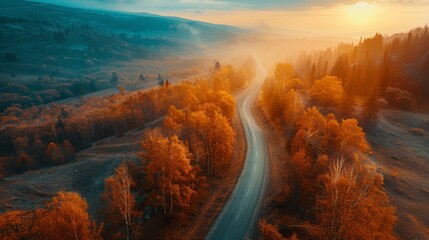 Aerial view of mountain road in forest at sunset in autumn. Top view from drone of road in woods....