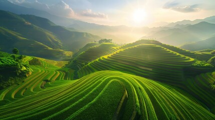Green Rice fields on terraced in Muchangchai, Vietnam Rice fields prepare the harvest at Northwest Vietnam.