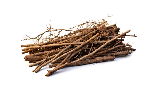 Branches pile isolated. Dry twigs pile ready for campfire, sticks, boughs heap for a fire