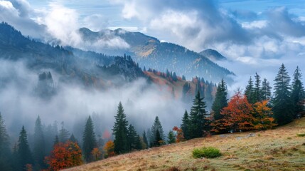 the autumn morning with the fog on Tihuta pass - Romania