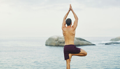 Man, yoga and tree pose or sea balance with wellness peace for vrksasana, rear view or mindfulness....