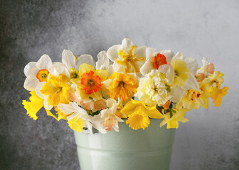 Beautiful flower bouquet of colorful and different variety of daffodil flowers in a green enamel...