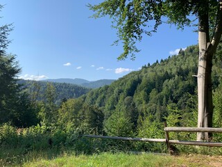 landscape with fence