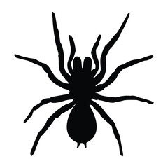 Obraz premium Tarantula spider silhouette, illustration, vector on a white background. Scary big spider-poisonous insect, arachnophobia background.