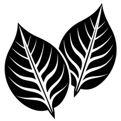 Obraz premium Leaf Pair Icon Vector Illustrations