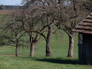 Landschaftsaufnahme mit Feldscheune und B&auml;umen in Naislach bei Oberreichenbach im Kreis Calw.