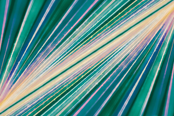 Converging Multi-colored Sewing Thread on a green background