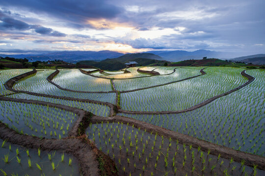 Aerial view of a flooded terraced rice field in rural landscape, Thailand