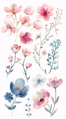 Delicate vector watercolor flowers, hand drawn and isolated on a pristine white background