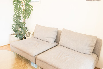 Interior design of open space with gray sofa in modern apartment,tropical plants and elegant personal accessories in stylish home decor. Neutral living room,Template,Copy text space.