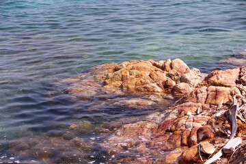 Stone in water sea summer background and garbage