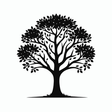 Tree silhouette vector illustration White Background, silhouette tree line drawing set, Side view, graphics trees elements outline symbol