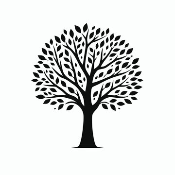 Tree silhouette vector illustration White Background, silhouette tree line drawing set, Side view, graphics trees elements outline symbol
