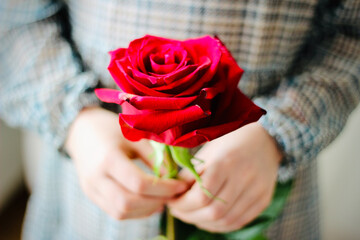 Close-up of a young woman holding a red rose
