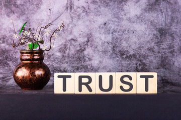 Word TRUST made with wood building blocks on a gray back ground