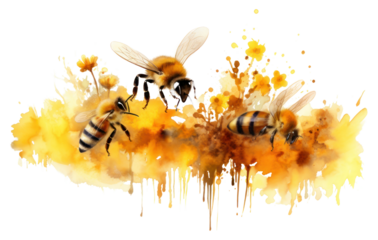 PNG  Bee border insect animal hornet