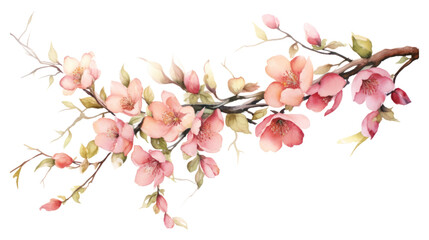 PNG Garland flower blossom plant inflorescence - obrazy, fototapety, plakaty