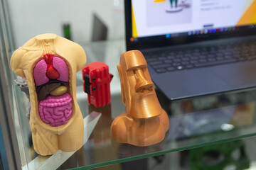 Human anatomical model made using 3D printing technology