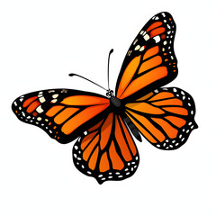 colorful butterfly vector illustration clipart isolated on white background