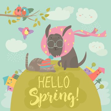 Funny dog and cute cat meeting spring