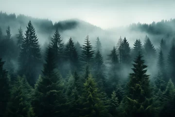 Foto op Canvas   Dense morning fog in alpine landscape with fir trees and mountains.   © belyaaa