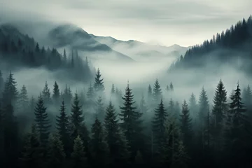Poster   Dense morning fog in alpine landscape with fir trees and mountains.   © belyaaa