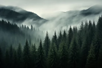 Foto op Canvas   Dense morning fog in alpine landscape with fir trees and mountains.   © belyaaa